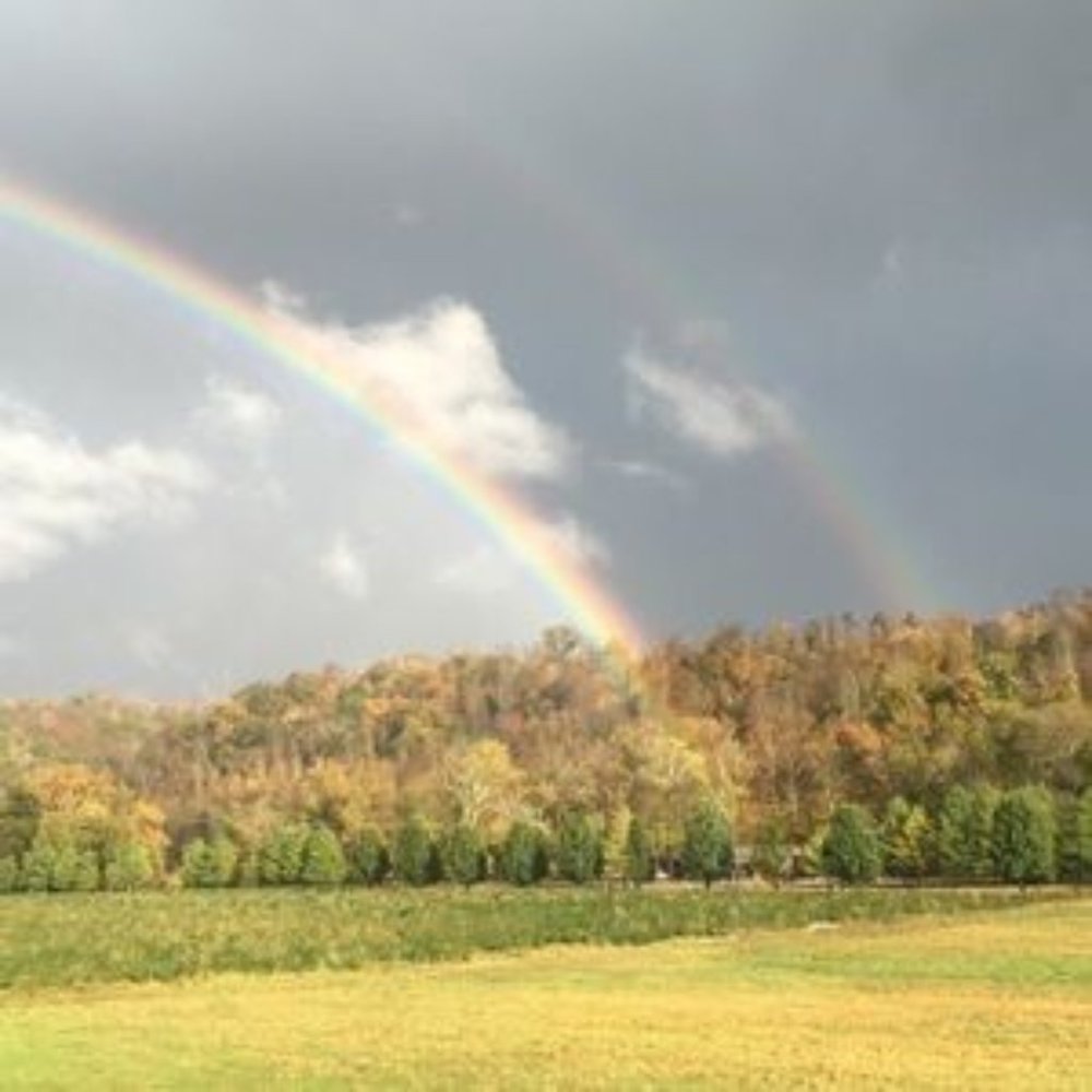 Meet your Posher, Annette